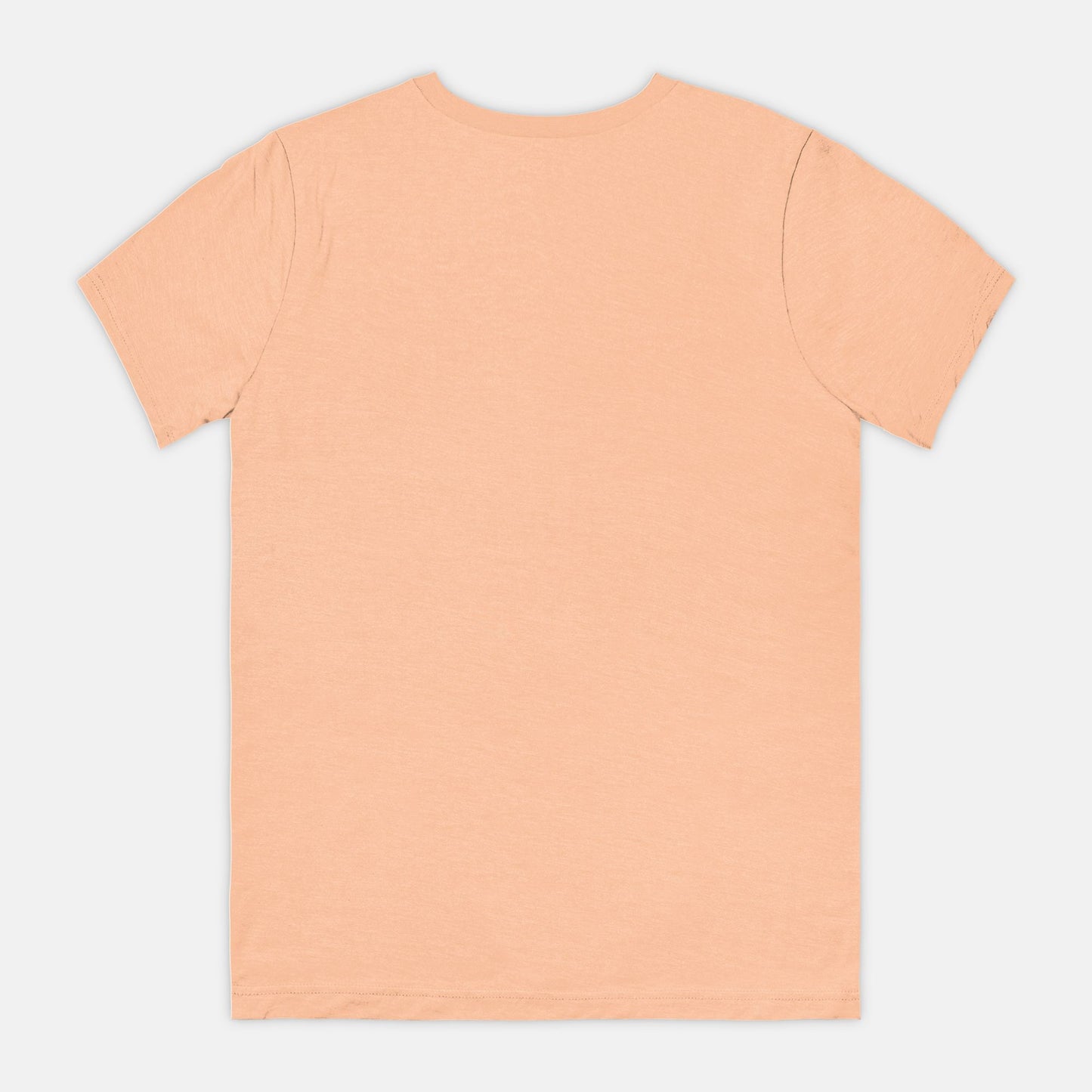 Bella Canvas Unisex Tee 3001CVC - Entrepreneur Mentality
