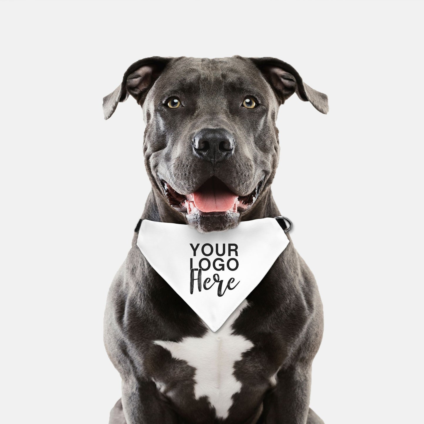 Upgrade your pet's style with our Collar Pet Bandana (LG & XL) - Logo Only from Designs On The Go. Perfect for any occasion, this bandana features a durable collar design and a sleek logo, ensuring your furry friend looks their best. Ideal for large and extra-large pets, it's a must-have accessory.