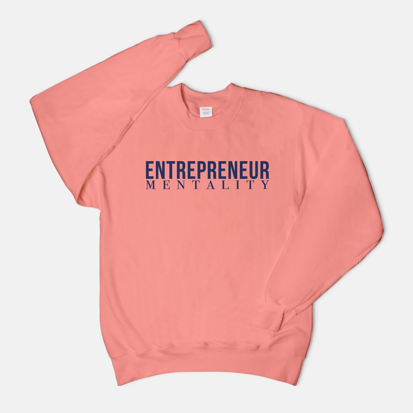 Unisex Crew Neck Sweatshirt Hanes F260 - Entrepreneur Mentality